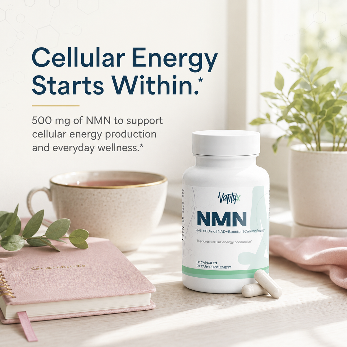 NMN 500mg — NAD+ Support Capsules · 30 Caps