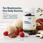 Neuro Gummies — Mushroom Complex Gummies, Raspberry