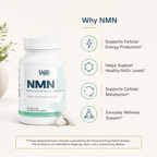 NMN 500mg — NAD+ Support Capsules · 30 Caps