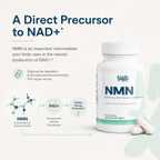 NMN 500mg — NAD+ Support Capsules · 30 Caps