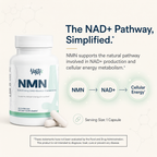 NMN 500mg — NAD+ Support Capsules · 30 Caps