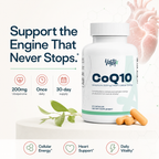 Vantyx CoQ10 200mg Ubiquinone — 30 Capsules